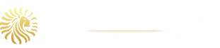 Gestão Bruta - Consultoria Empresarial